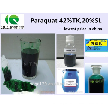 Suministro Herbicida Paraquat 42% TC 20% SL con buen precio CAS No.:1910-42-5